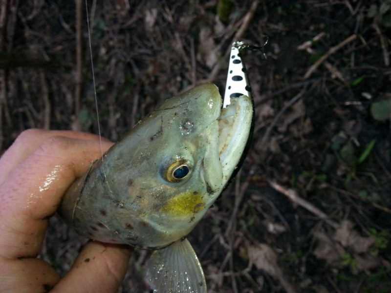 20140318_143104.jpg