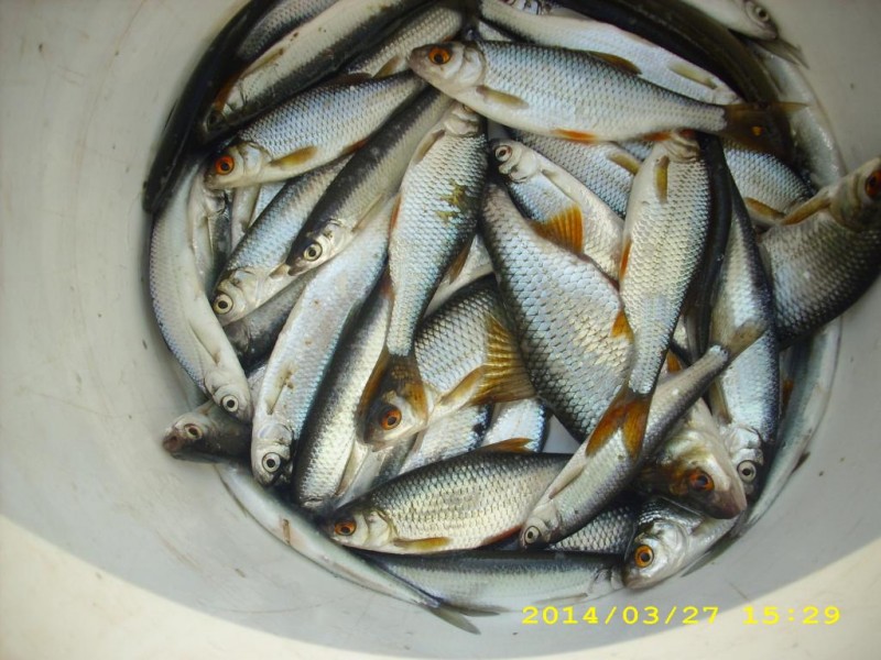 DSCI0160.JPG