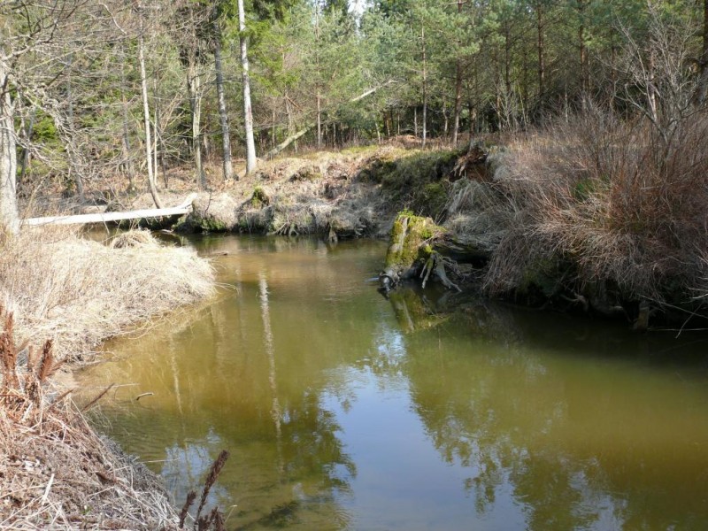 P1170434.JPG