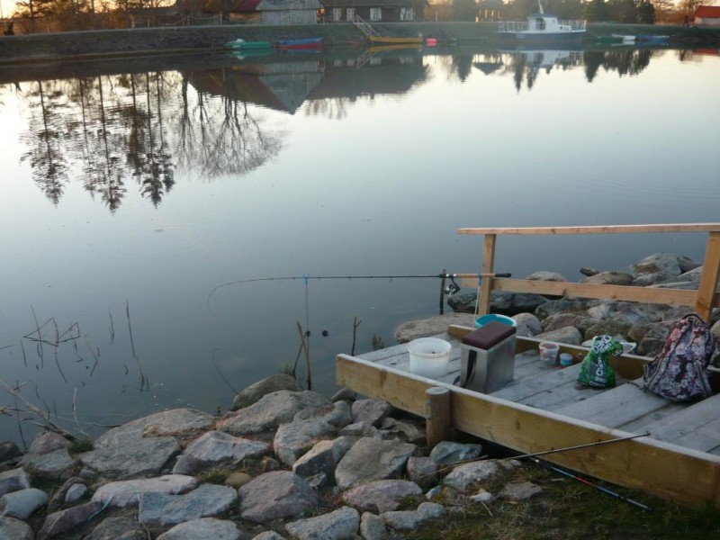 P1000676.JPG