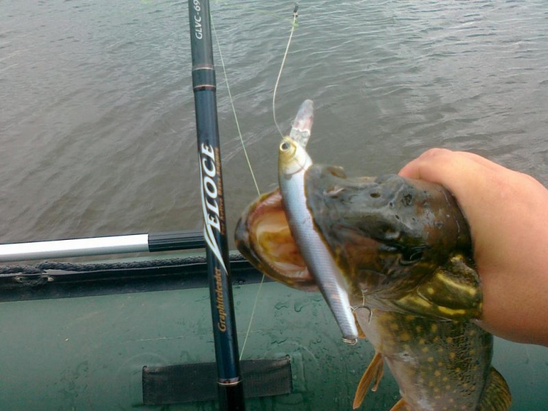 20120623118.jpg