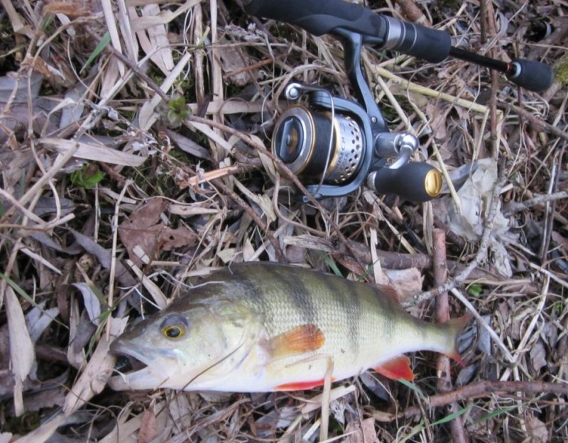 20140409 07.jpg
