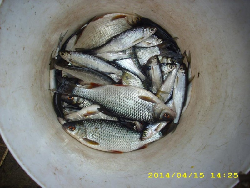 DSCI0179.JPG