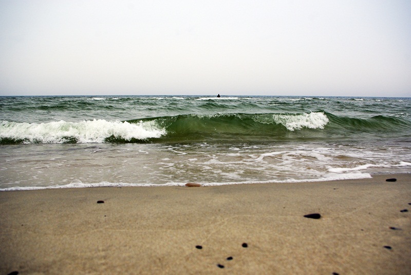 _IGP6180.JPG