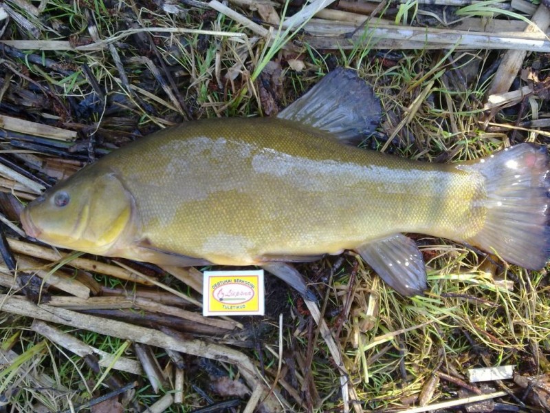 20140419210.jpg