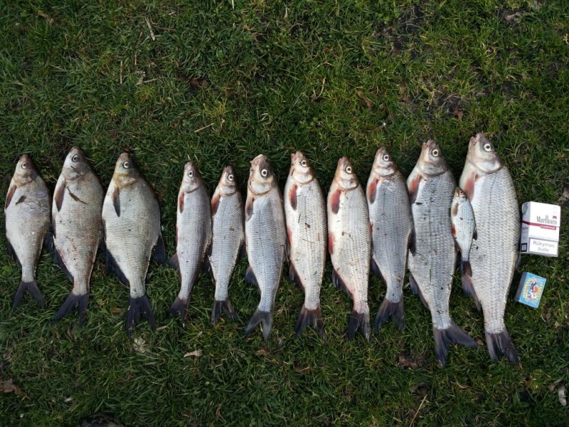 20140419_194246.jpg