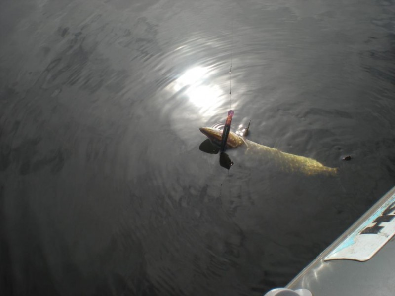 DSCN4448.JPG