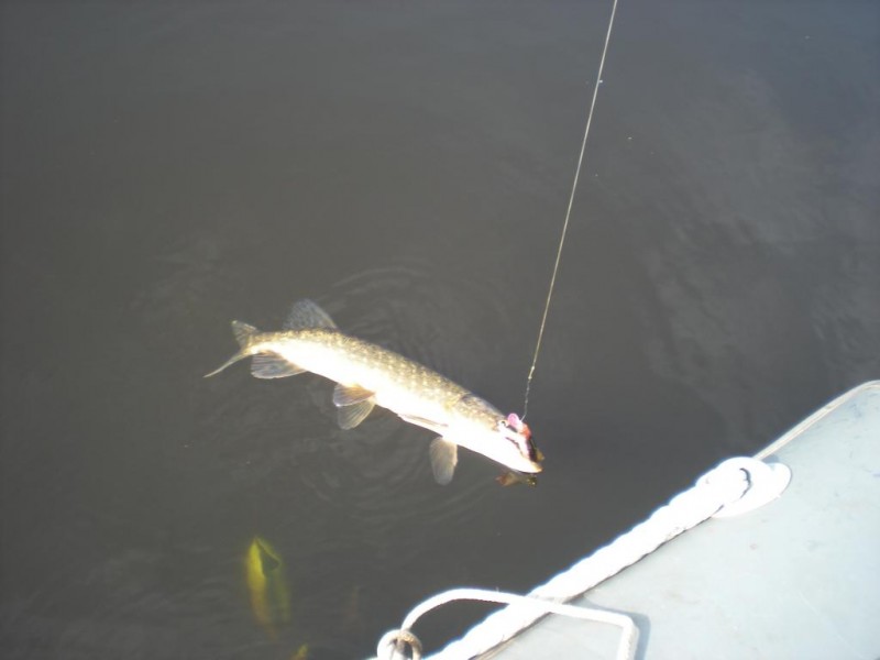 DSCN4451.JPG