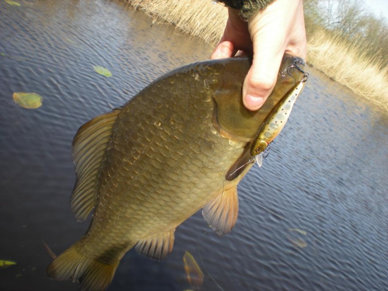 DSCN4461.JPG