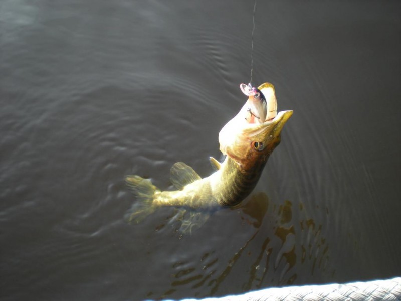 DSCN4464.JPG