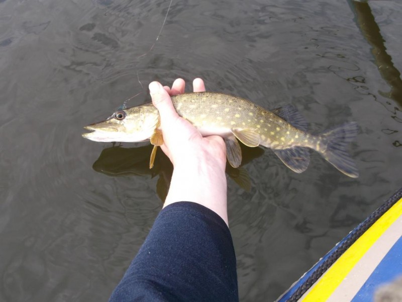 DSCF2450.jpg