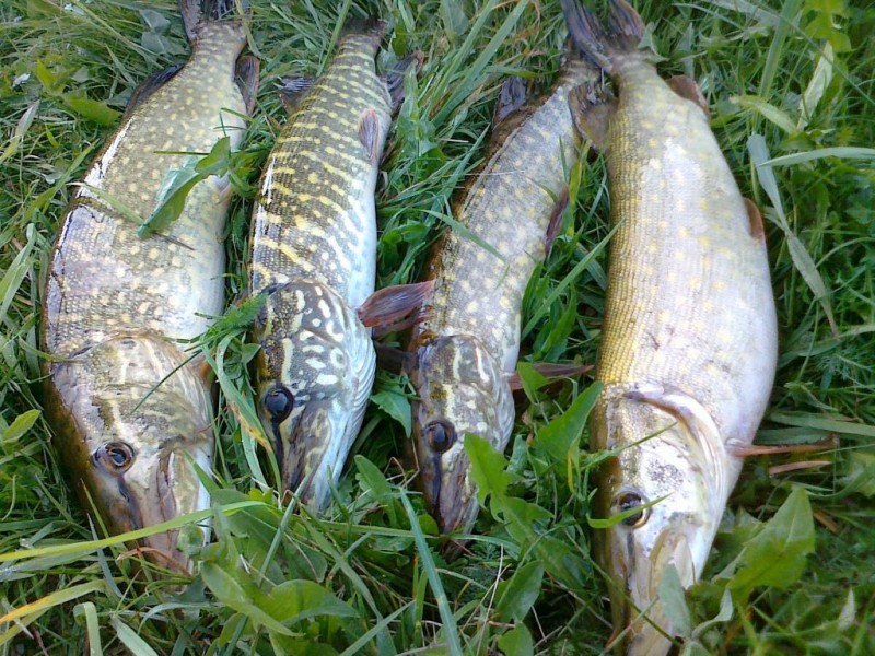 20140427135.jpg