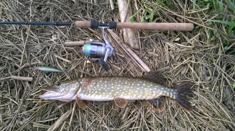 WP_20140427_003.jpg