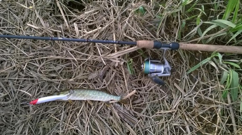 WP_20140427_005.jpg
