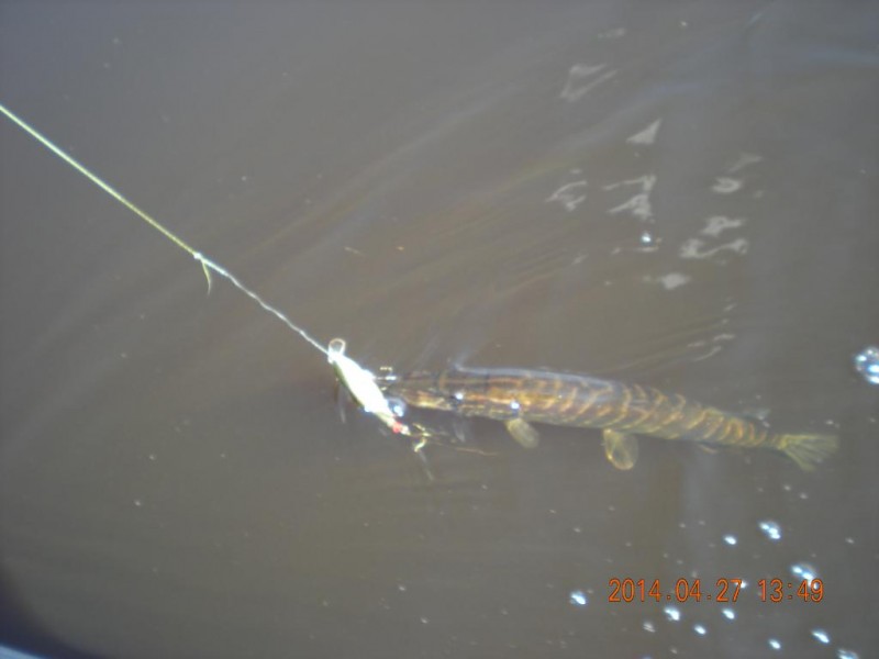DSCN4487.JPG