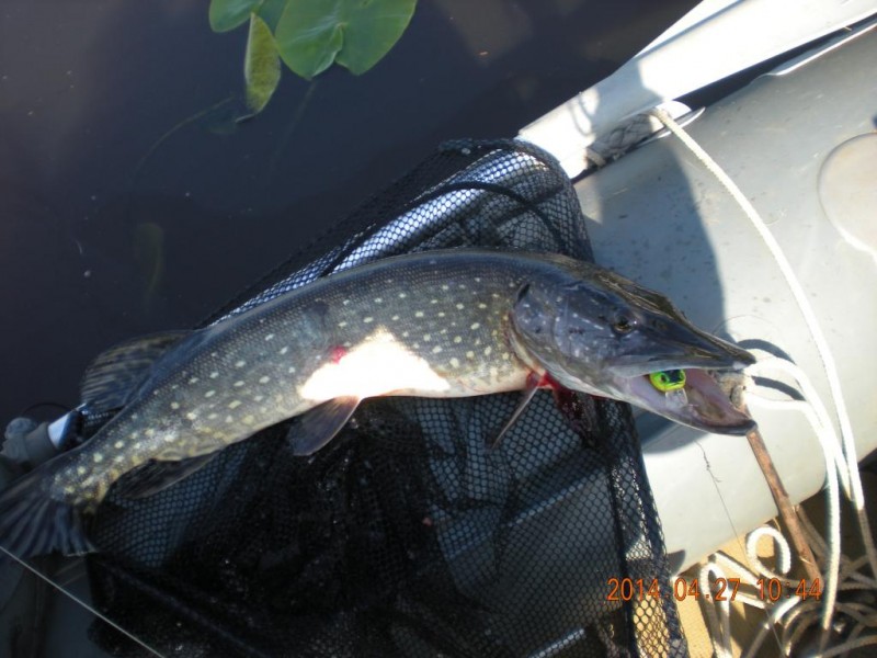 DSCN4485.JPG