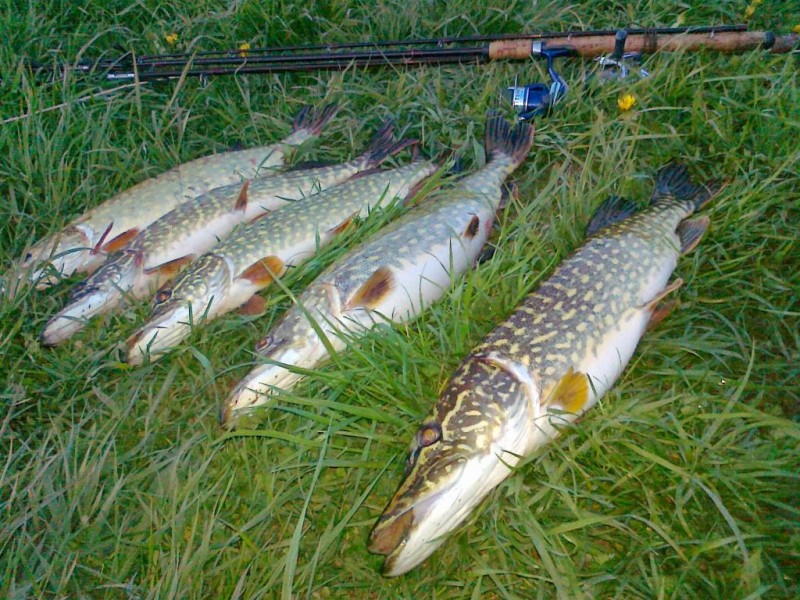 20140502139.jpg