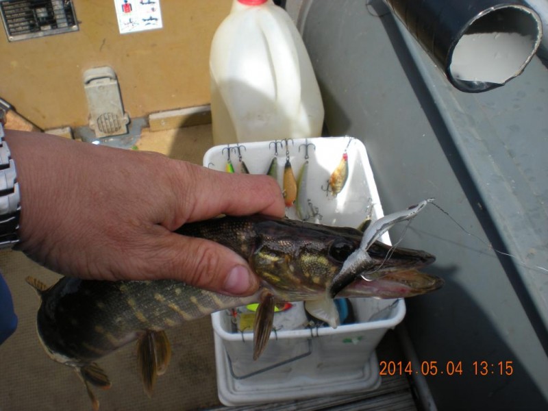 DSCN4492.JPG