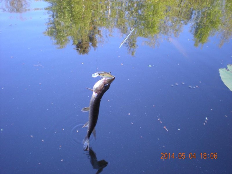 DSCN4504.JPG
