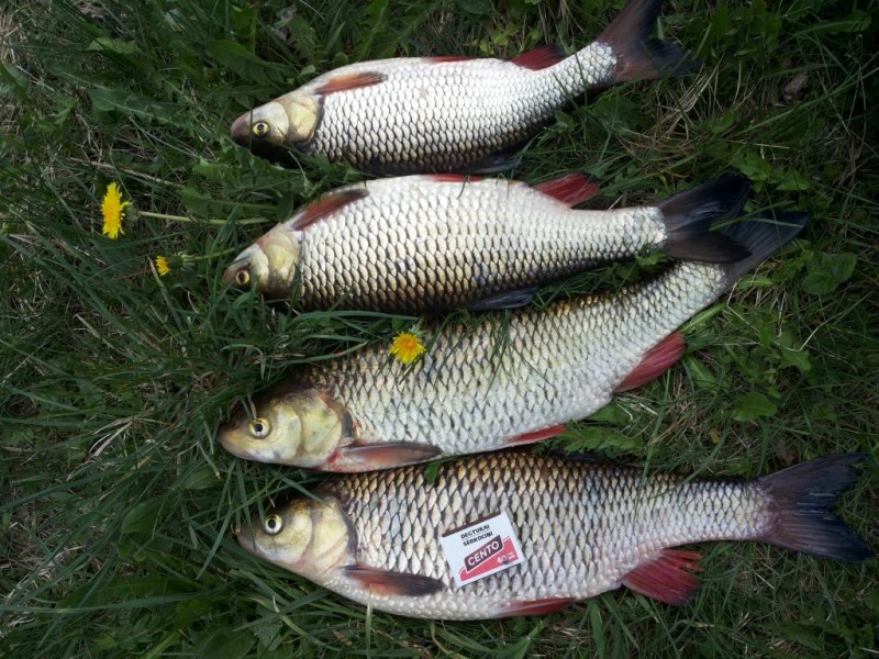 20140504_183939.jpg