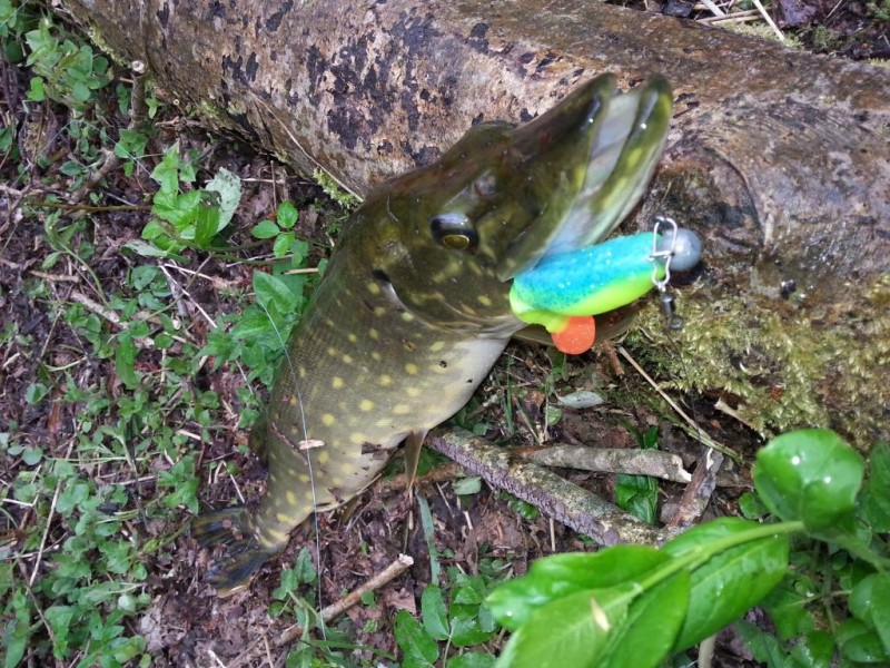 20140507_102342.jpg
