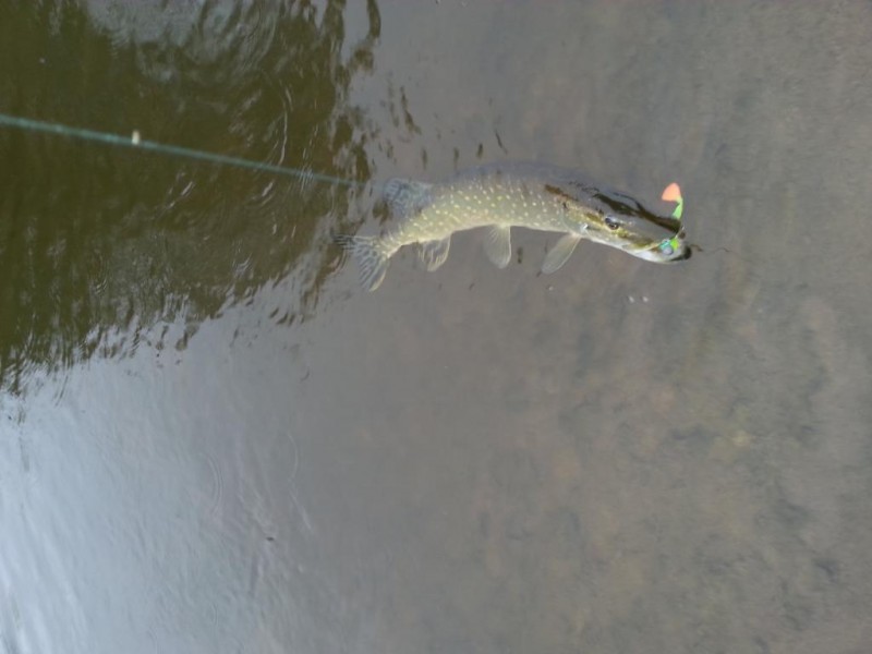 20140507_084818.jpg
