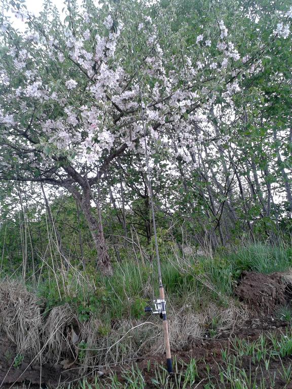 2014-05-13 14.30.08.jpg