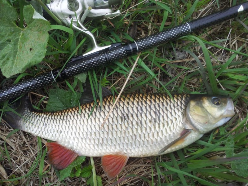 20140510_115811.jpg