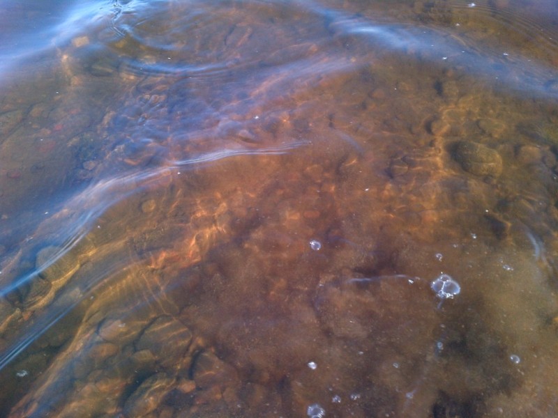 IMG-20130530-00217.jpg