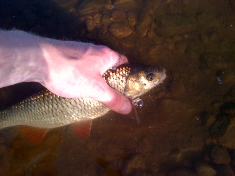 IMG-20130530-00215.jpg
