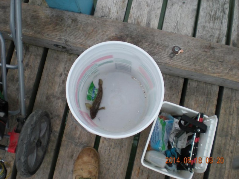 DSCN4510.JPG
