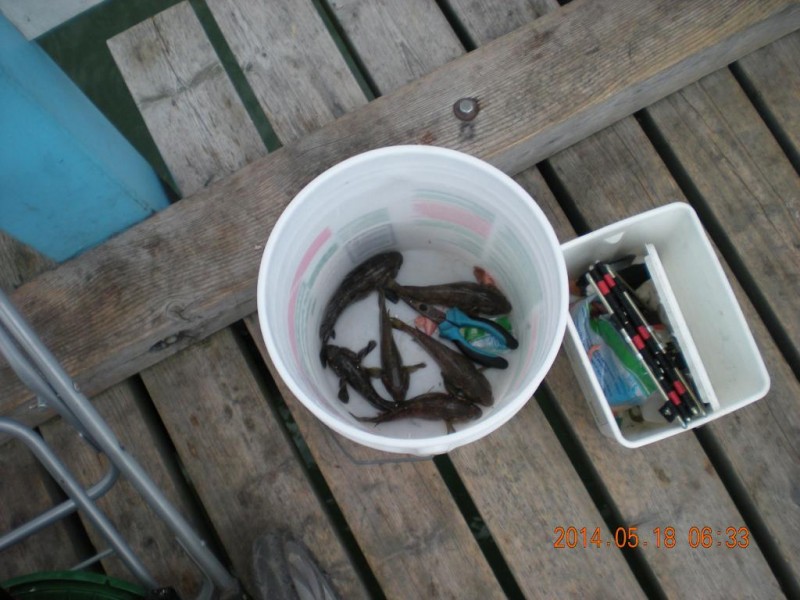 DSCN4511.JPG