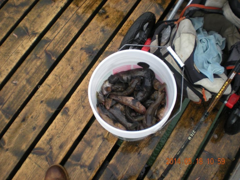 DSCN4514.JPG