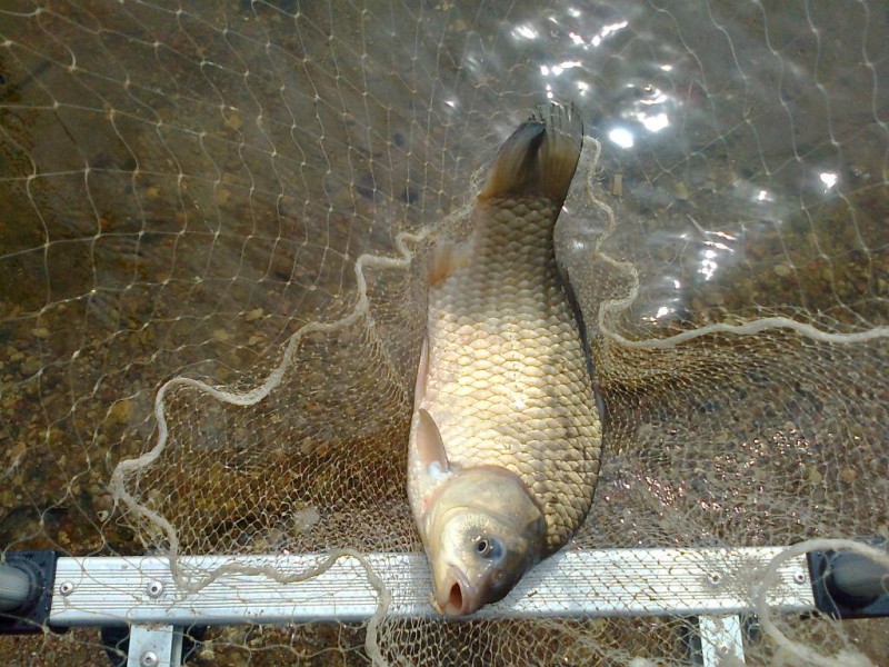 Nuotrauka0368.jpg
