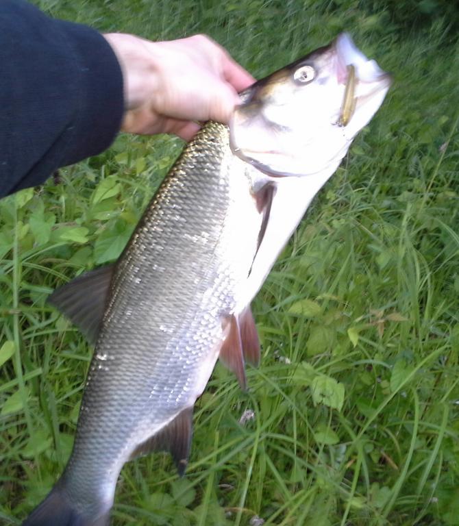 20140529_193108-1.jpg