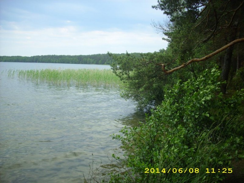 DSCI0404.JPG