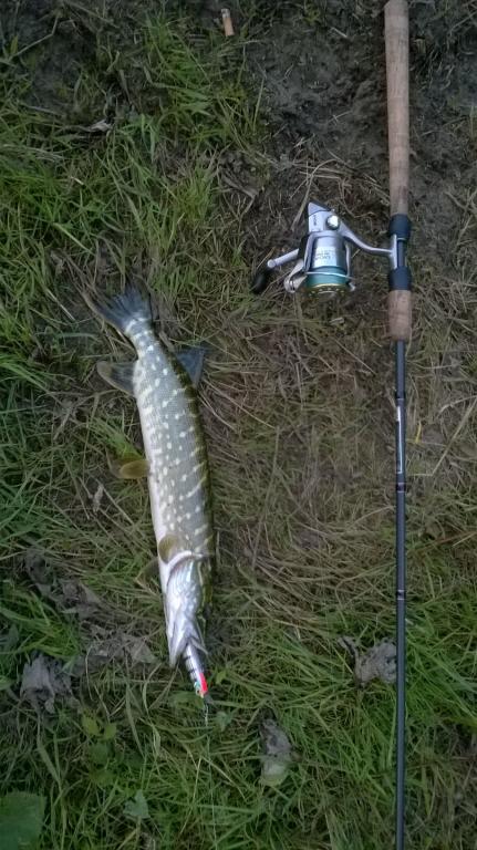 WP_20140605_001.jpg