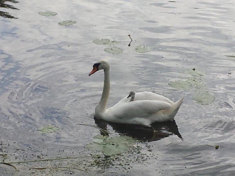 20140609_182112.jpg