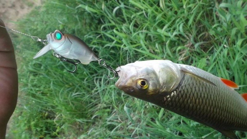 DSCF2665.JPG